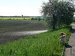 Třibřichy